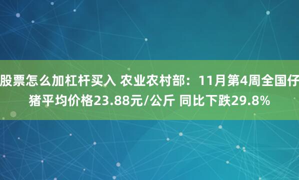 股票怎么加杠杆买入 农业农村部：11月第4周全国仔猪平均价格23.88元/公斤 同比下跌29.8%