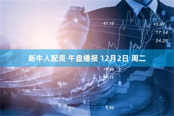 新牛人配资 午盘播报 12月2日 周二