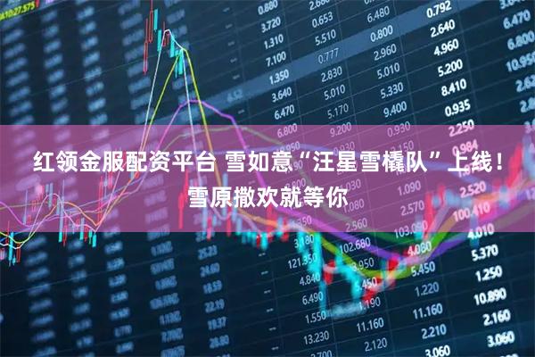 红领金服配资平台 雪如意“汪星雪橇队”上线！雪原撒欢就等你